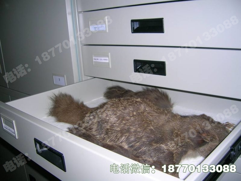 乌恰县动物标本密集柜